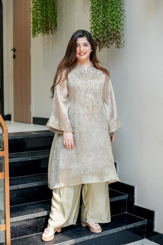 Risha Hand Embroidered Co ord Set