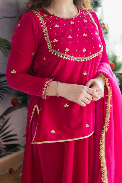 Raeth Pink Velvet Short Shirt Lehenga