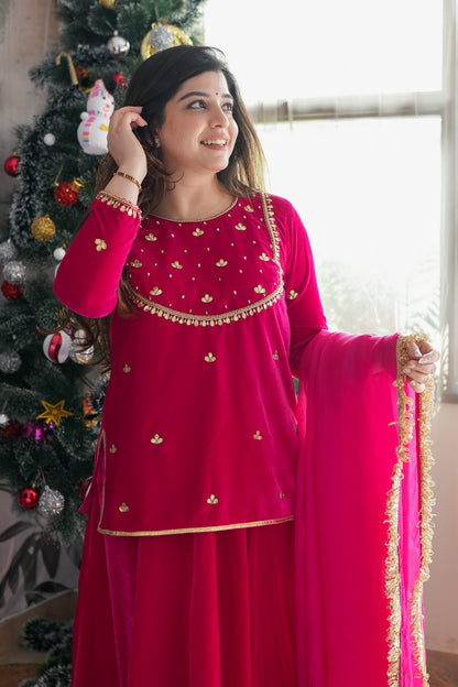 Raeth Pink Velvet Short Shirt Lehenga