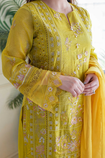 Sameera Embroidered Pakistani Suit Set