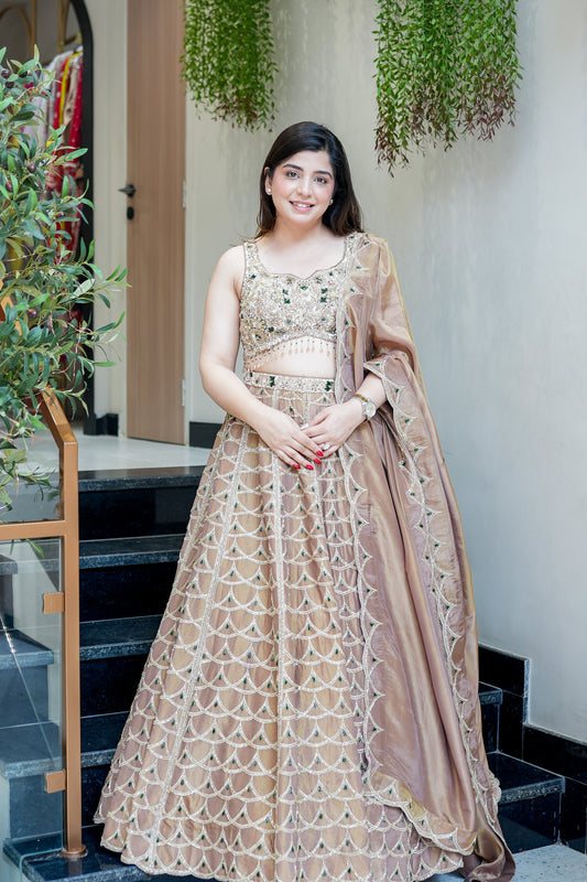 Ahilya Beige Hand Embroidered Lehenga