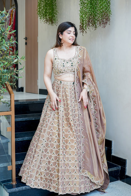 Ahilya Hand Embroidered Lehenga