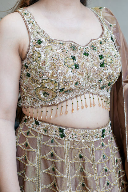 Ahilya Hand Embroidered Lehenga