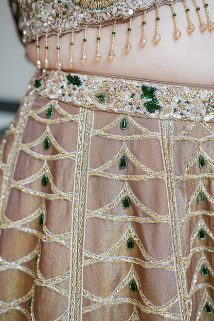 Ahilya Hand Embroidered Lehenga