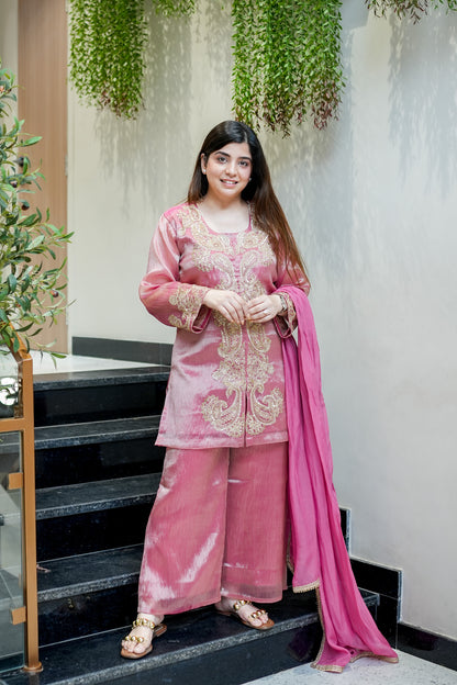 Ahana Embroidered Suit Set