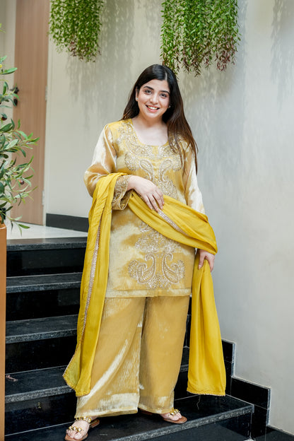 Ahana Embroidered Suit Set