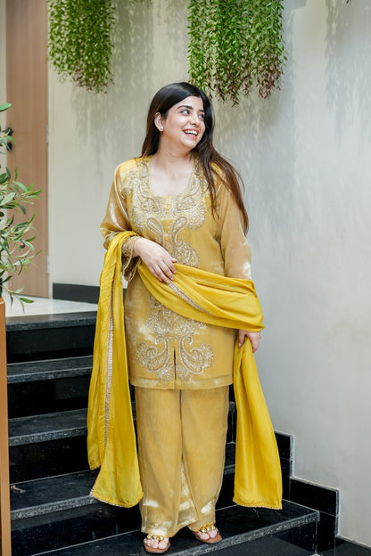 Ahana Embroidered Suit Set