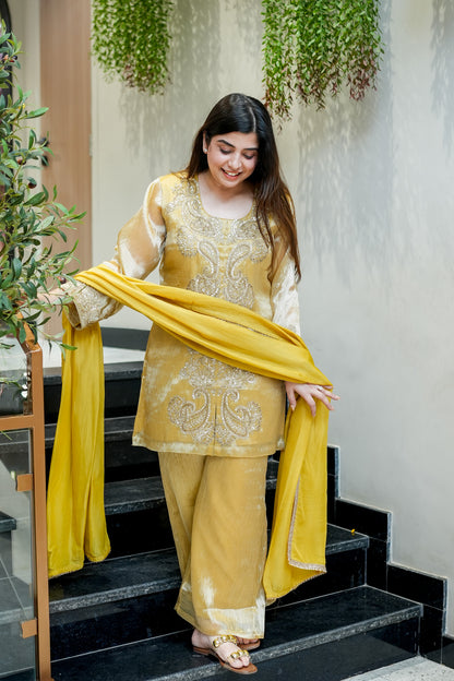 Ahana Embroidered Suit Set