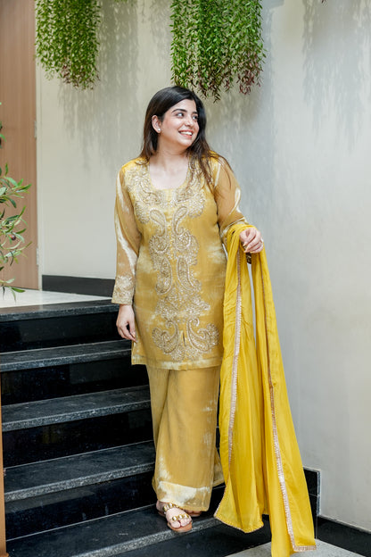 Ahana Embroidered Suit Set