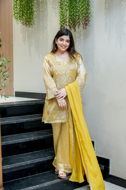 Ahana Embroidered Suit Set