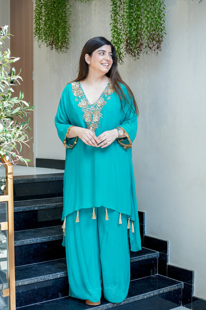 Zaira Embroidered Co ord Set