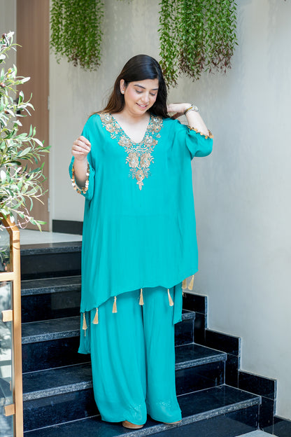 Zaira Embroidered Co ord Set