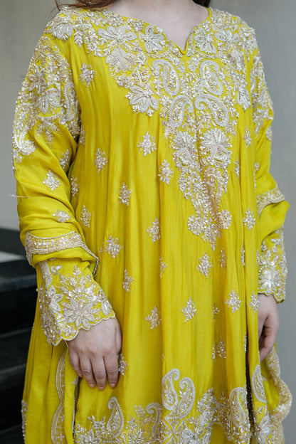 Riyasa Hand Embroidered Suit Set