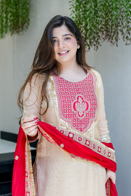 Vainavi Embroidered Suit Set