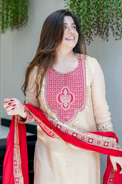 Vainavi Embroidered Suit Set
