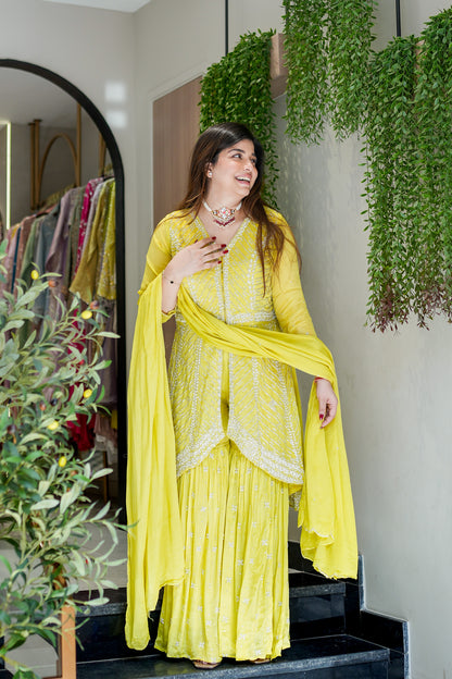 Aabha Embroidered Sharara Suit Set