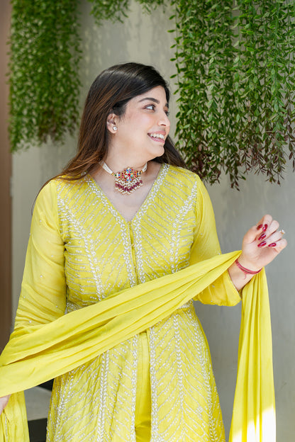Aabha Embroidered Sharara Suit Set