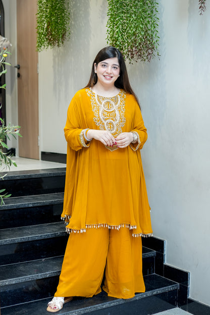 Charvi Embroidered Co ord Set