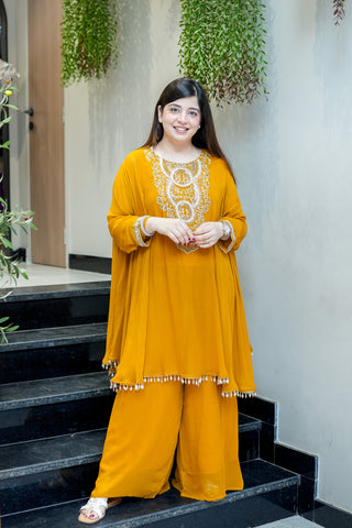 Charvi Embroidered Co ord Set