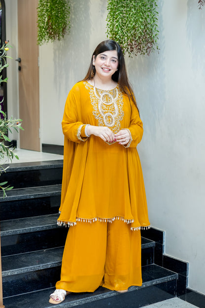 Charvi Embroidered Co ord Set