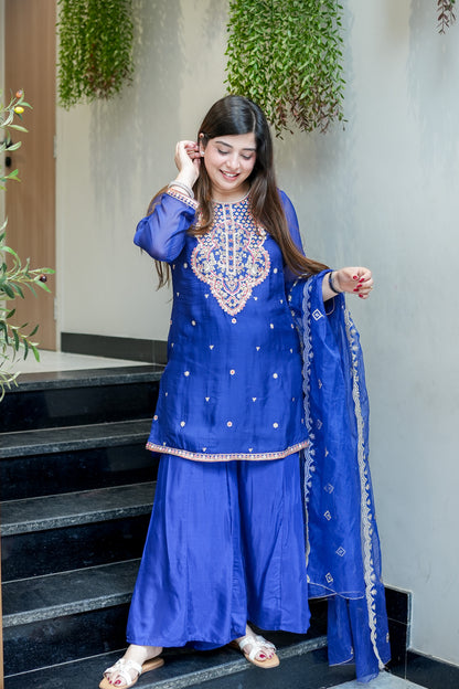 Oshin Embroidered Garara Set