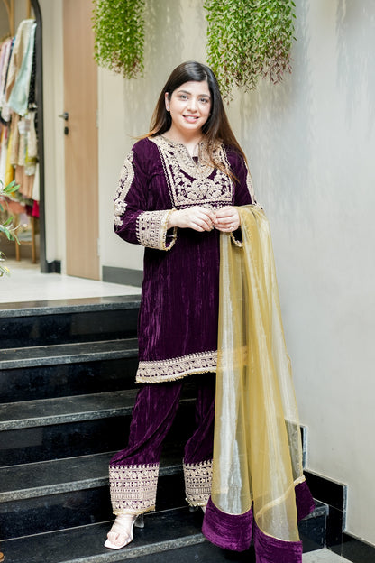 Mahi Embroidered Velvet Suit Set