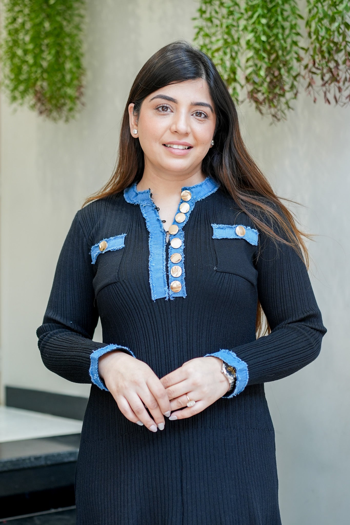 Frey Denim Detailing Dress