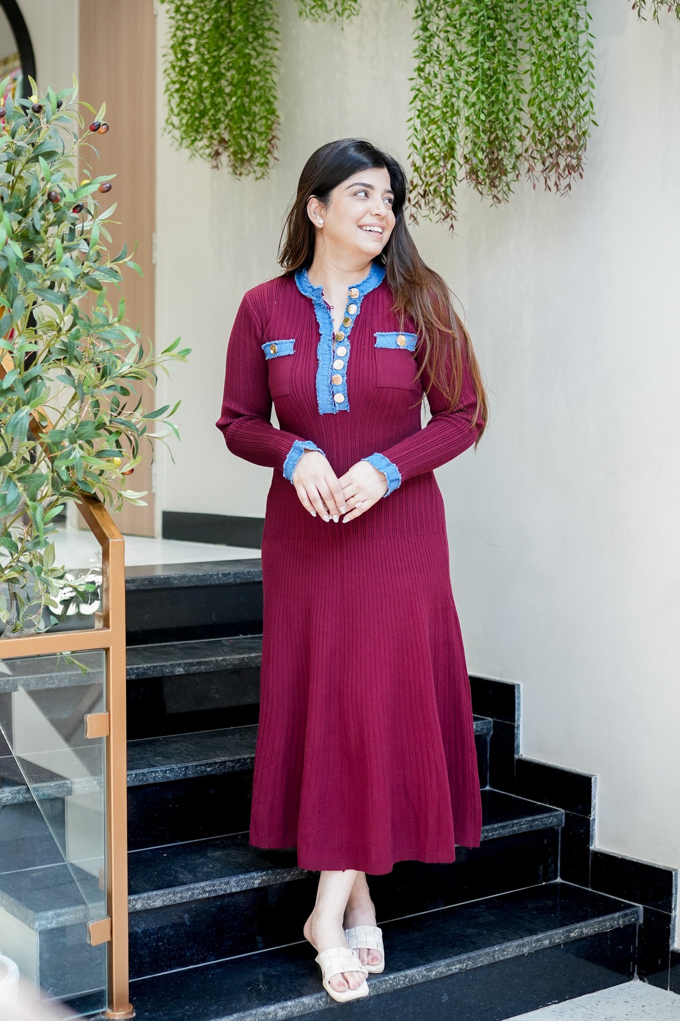 Frey Denim Detailing Dress