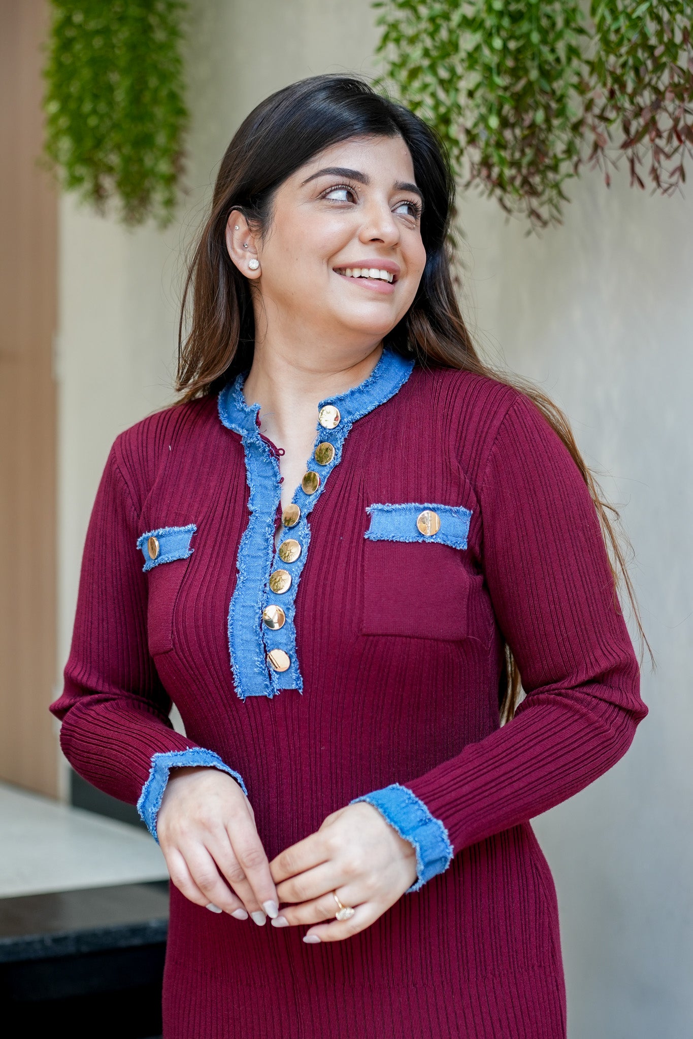 Frey Denim Detailing Dress