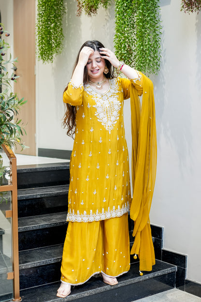 Swara Embroidered Suit Set