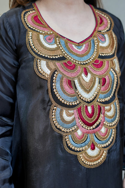 Anika Embroidered Co ord Set