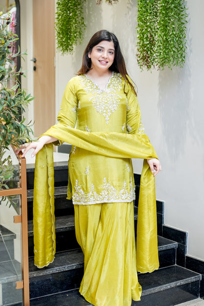 Aavika Embroidered Suit Set