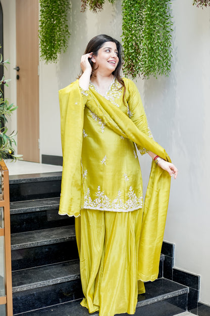 Aavika Embroidered Suit Set