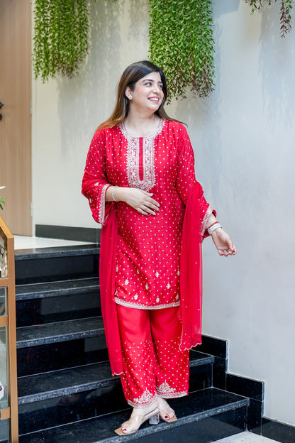 Ruhani Hand Embroidered Suit Set