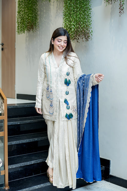 Aqsa Embroidred Luxe Suit Set