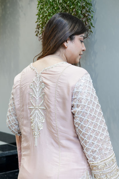 Revati Hand Embroidered Suit Set
