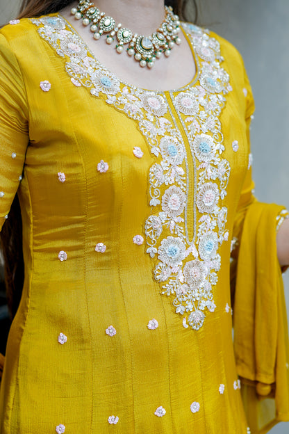 Tashi Embroidered Anarkali