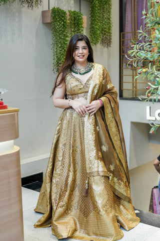 Dhara Hand Embroidered Brocade Lehenga