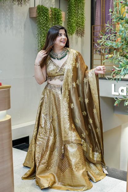 Dhara Hand Embroidered Brocade Lehenga