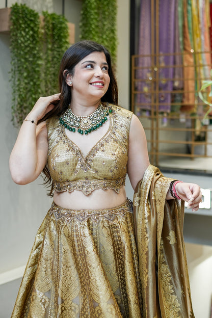 Dhara Hand Embroidered Brocade Lehenga