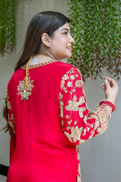 Raabta Hand Embroidered Sharara Set