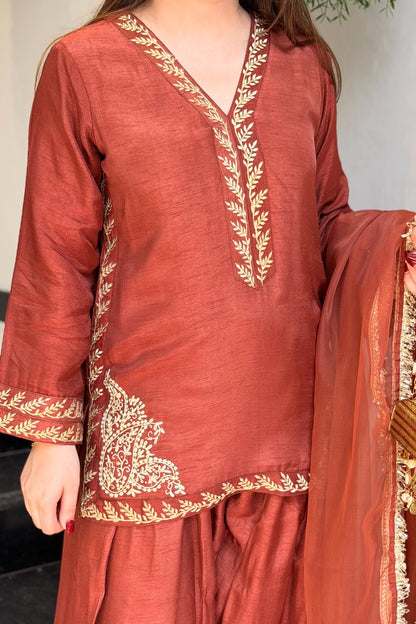 Tavishi Embroidered Farshi Salwar Suit Set