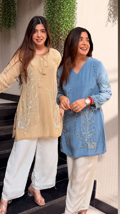 Ridhika Embroidered Co ord Set