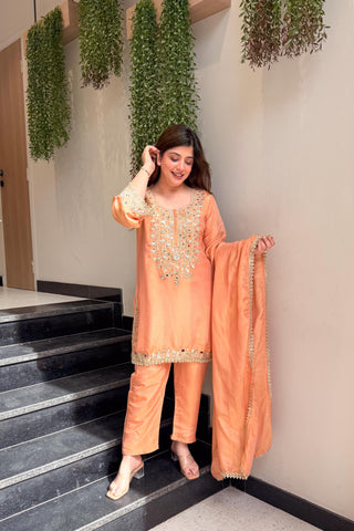 Suhavi Mirror Embroidered Suit Set