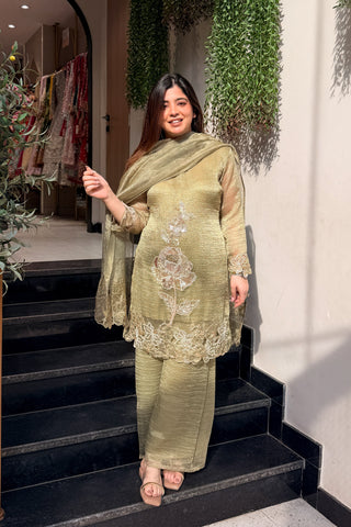 Ayesha Hand Embroidered Suit Set