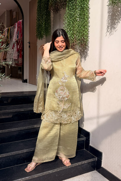 Ayesha Hand Embroidered Suit Set