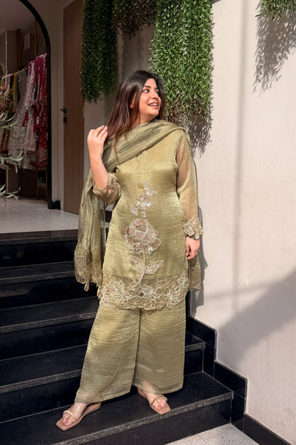Ayesha Hand Embroidered Suit Set