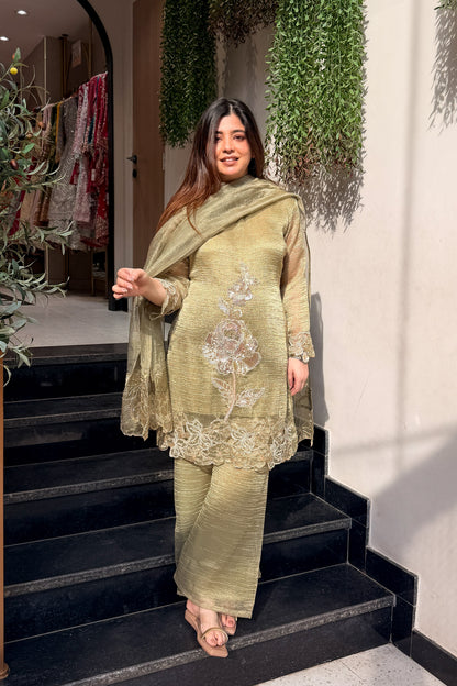Ayesha Hand Embroidered Suit Set