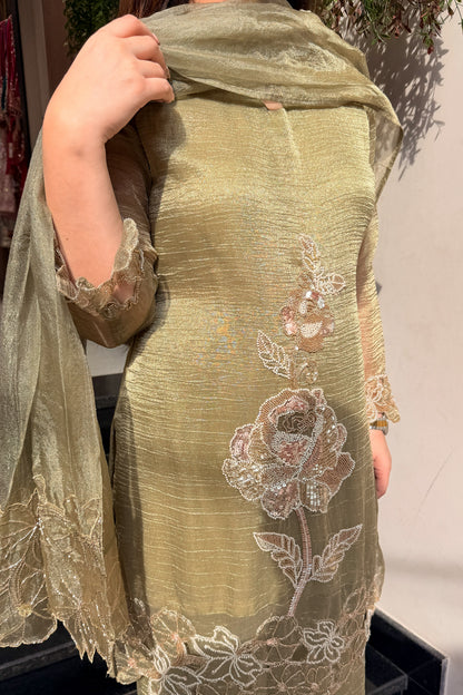 Ayesha Hand Embroidered Suit Set