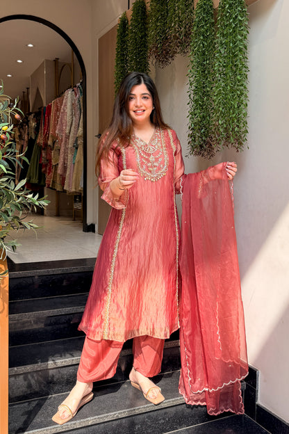 Navira Tissue Embroidered Suit Set